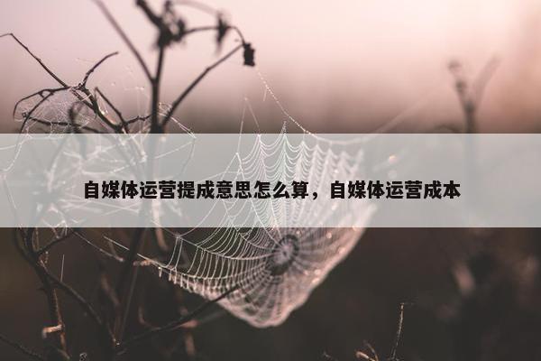 自媒体运营提成意思怎么算，自媒体运营成本