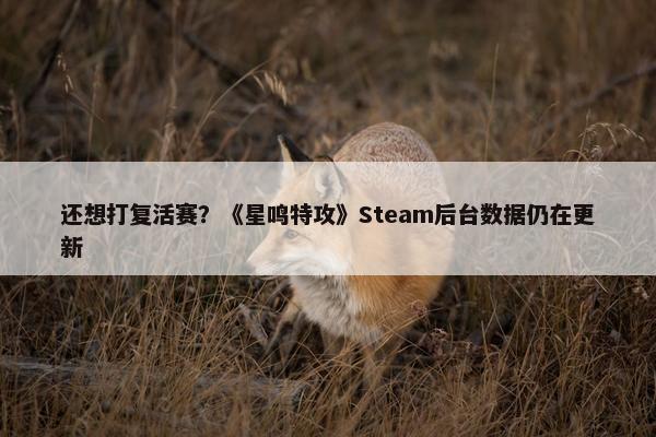 还想打复活赛？《星鸣特攻》Steam后台数据仍在更新