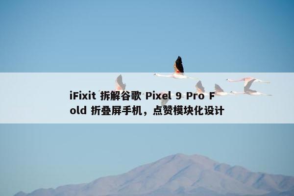 iFixit 拆解谷歌 Pixel 9 Pro Fold 折叠屏手机，点赞模块化设计