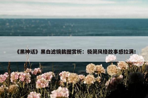 《黑神话》黑白滤镜截图赏析：极简风格故事感拉满！