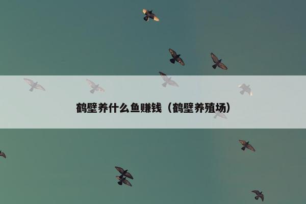 鹤壁养什么鱼赚钱（鹤壁养殖场）