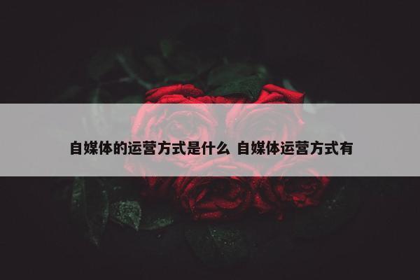 自媒体的运营方式是什么 自媒体运营方式有