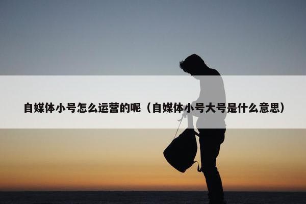 自媒体小号怎么运营的呢（自媒体小号大号是什么意思）