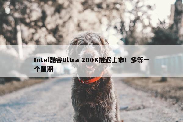 Intel酷睿Ultra 200K推迟上市！多等一个星期