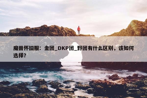 魔兽怀旧服：金团_DKP团_野团有什么区别，该如何选择？