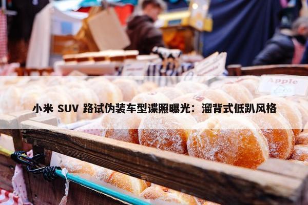 小米 SUV 路试伪装车型谍照曝光：溜背式低趴风格