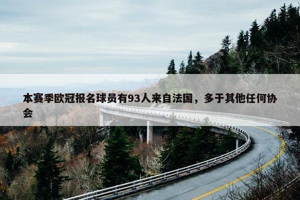 本赛季欧冠报名球员有93人来自法国，多于其他任何协会