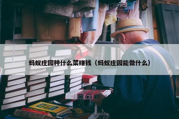 蚂蚁庄园种什么菜赚钱（蚂蚁庄园能做什么）