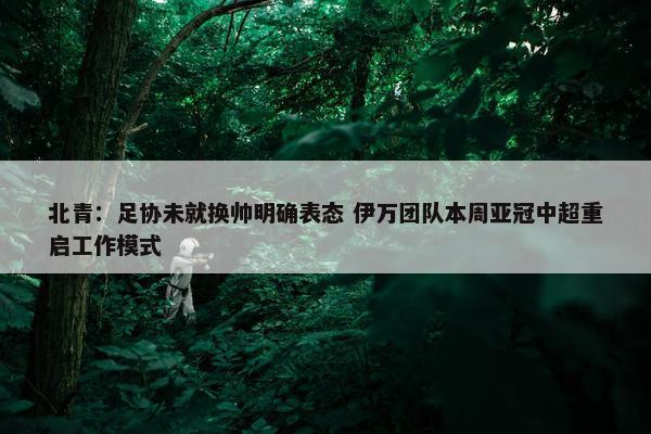 北青：足协未就换帅明确表态 伊万团队本周亚冠中超重启工作模式