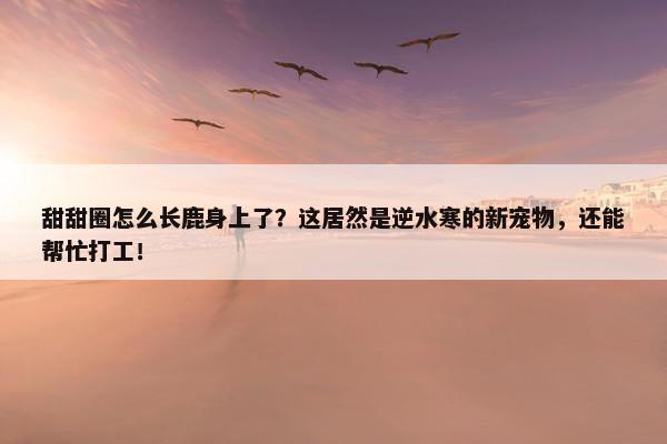 甜甜圈怎么长鹿身上了？这居然是逆水寒的新宠物，还能帮忙打工！