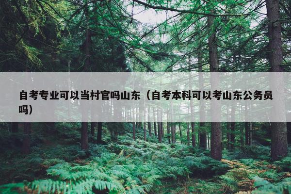 自考专业可以当村官吗山东（自考本科可以考山东公务员吗）