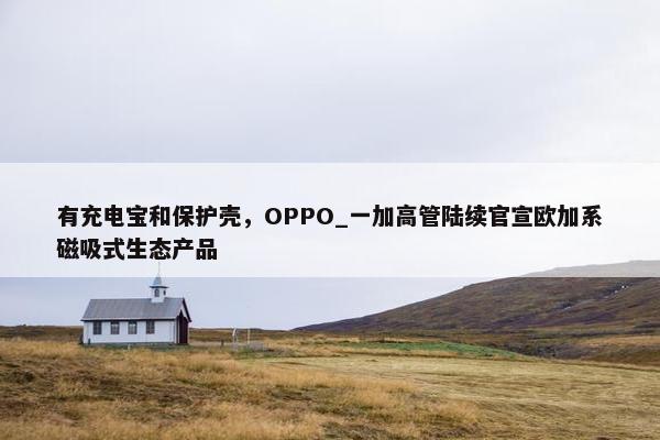 有充电宝和保护壳，OPPO_一加高管陆续官宣欧加系磁吸式生态产品