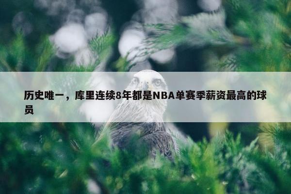 历史唯一，库里连续8年都是NBA单赛季薪资最高的球员