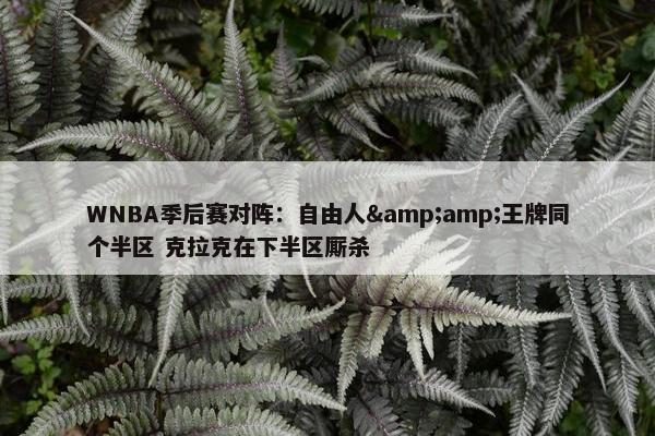 WNBA季后赛对阵：自由人&amp;王牌同个半区 克拉克在下半区厮杀