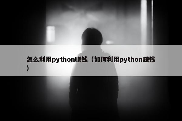 怎么利用python赚钱（如何利用python赚钱）