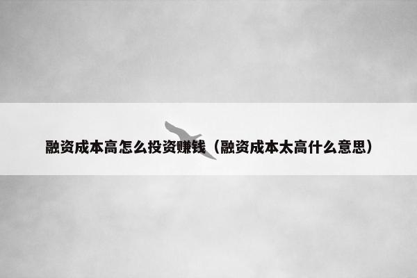 融资成本高怎么投资赚钱（融资成本太高什么意思）