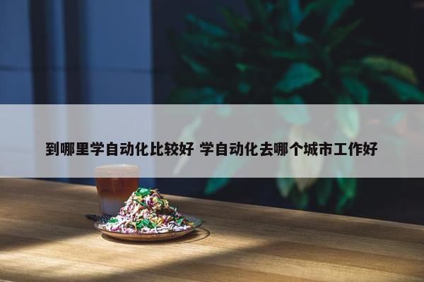 到哪里学自动化比较好 学自动化去哪个城市工作好