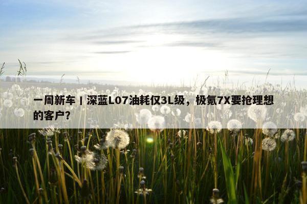 一周新车丨深蓝L07油耗仅3L级，极氪7X要抢理想的客户？