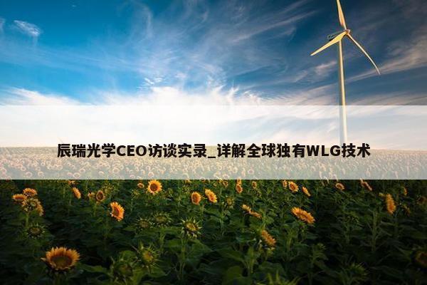 辰瑞光学CEO访谈实录_详解全球独有WLG技术