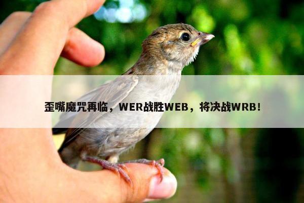 歪嘴魔咒再临，WER战胜WEB，将决战WRB！