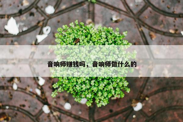 音响师赚钱吗，音响师做什么的