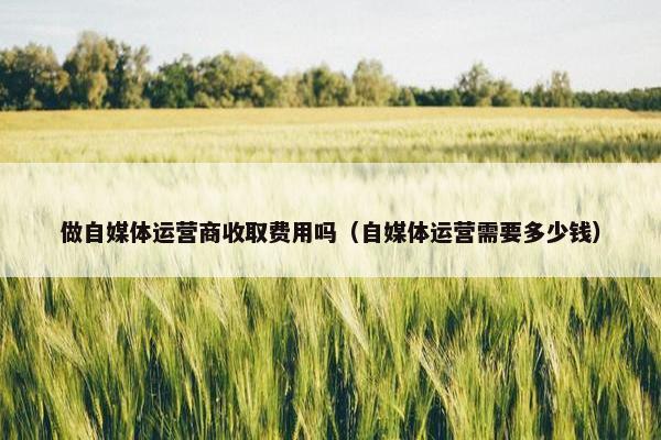 做自媒体运营商收取费用吗（自媒体运营需要多少钱）