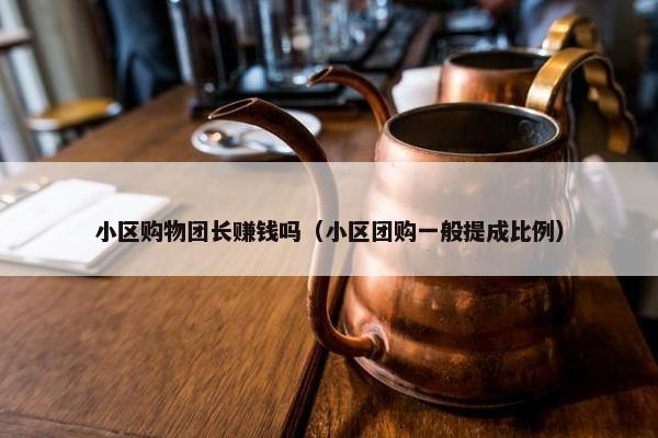 小区购物团长赚钱吗（小区团购一般提成比例）