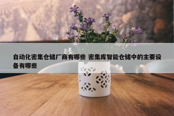 自动化密集仓储厂商有哪些 密集库智能仓储中的主要设备有哪些