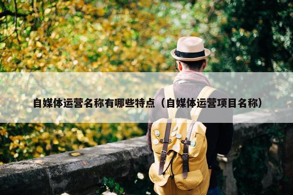 自媒体运营名称有哪些特点（自媒体运营项目名称）