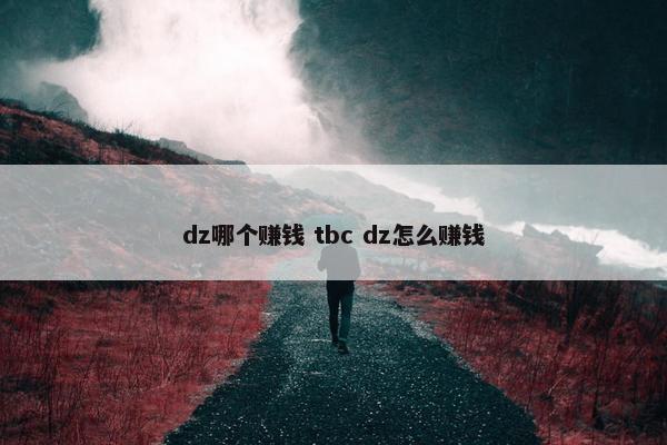 dz哪个赚钱 tbc dz怎么赚钱