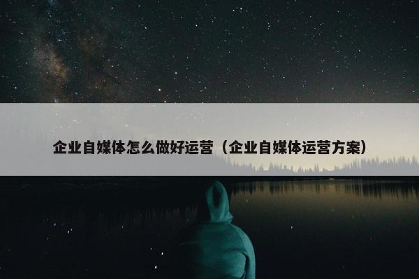 企业自媒体怎么做好运营（企业自媒体运营方案）