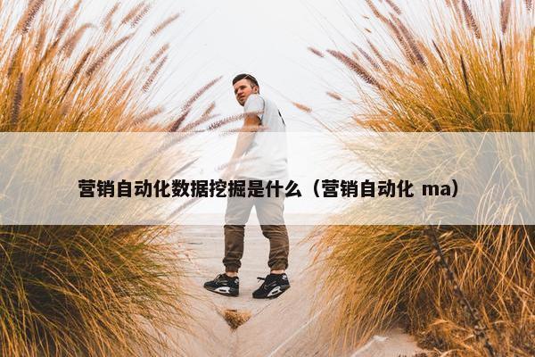 营销自动化数据挖掘是什么（营销自动化 ma）