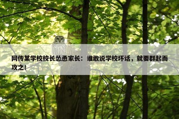 网传某学校校长怂恿家长：谁敢说学校坏话，就要群起而攻之！