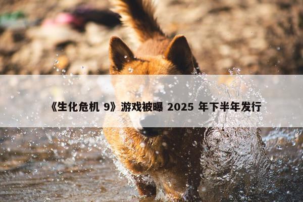 《生化危机 9》游戏被曝 2025 年下半年发行