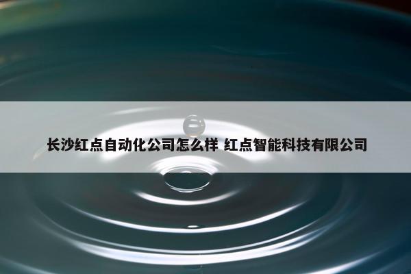 长沙红点自动化公司怎么样 红点智能科技有限公司