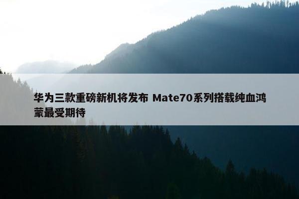 华为三款重磅新机将发布 Mate70系列搭载纯血鸿蒙最受期待