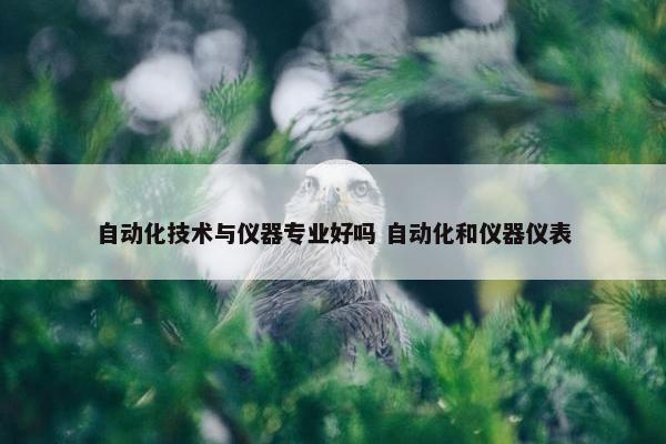 自动化技术与仪器专业好吗 自动化和仪器仪表