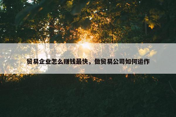 贸易企业怎么赚钱最快，做贸易公司如何运作