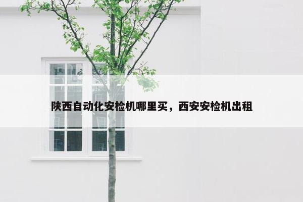 陕西自动化安检机哪里买，西安安检机出租