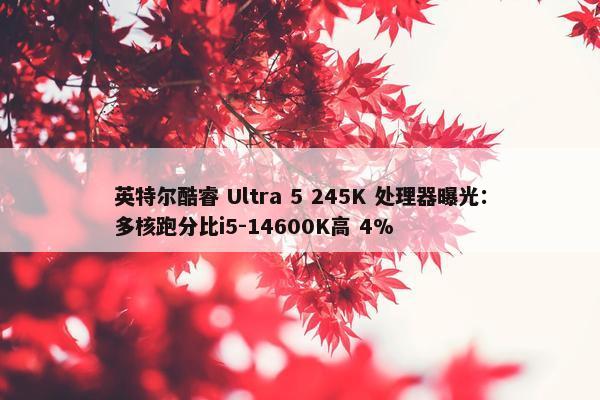 英特尔酷睿 Ultra 5 245K 处理器曝光：多核跑分比i5-14600K高 4%