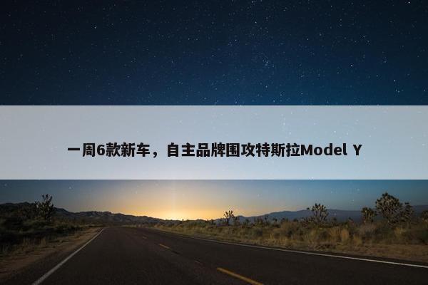 一周6款新车，自主品牌围攻特斯拉Model Y