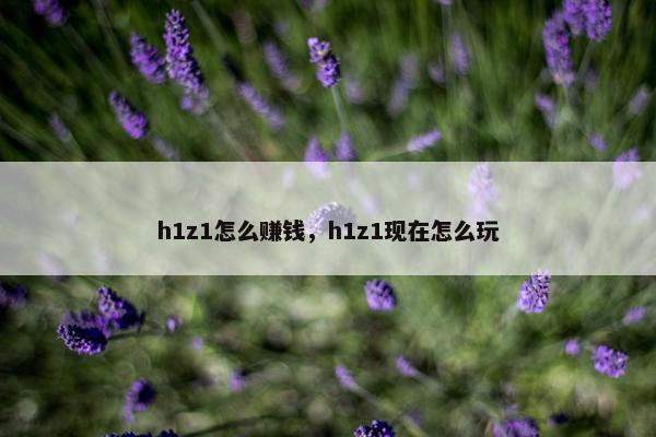 h1z1怎么赚钱，h1z1现在怎么玩