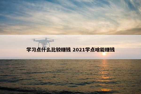 学习点什么比较赚钱 2021学点啥能赚钱