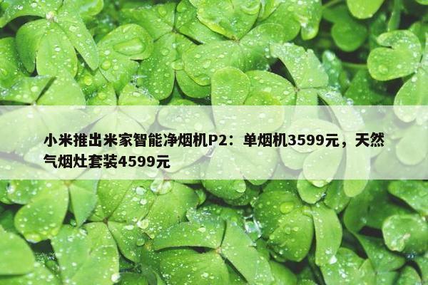 小米推出米家智能净烟机P2：单烟机3599元，天然气烟灶套装4599元