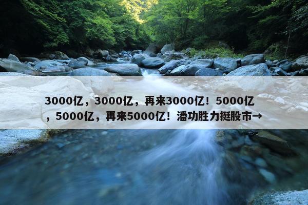 3000亿，3000亿，再来3000亿！5000亿，5000亿，再来5000亿！潘功胜力挺股市→