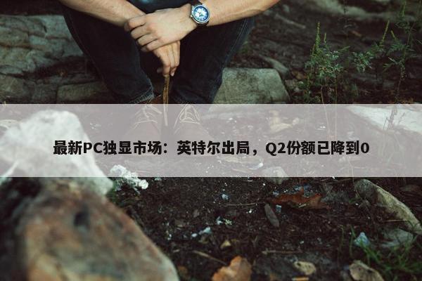 最新PC独显市场：英特尔出局，Q2份额已降到0