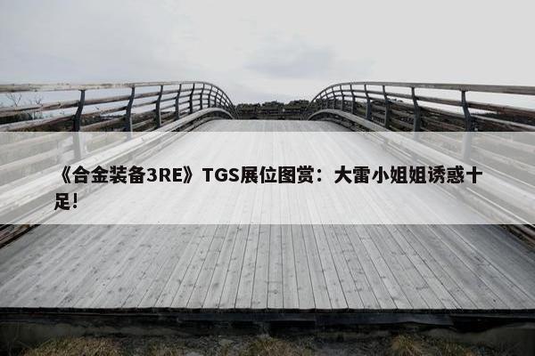 《合金装备3RE》TGS展位图赏：大雷小姐姐诱惑十足!