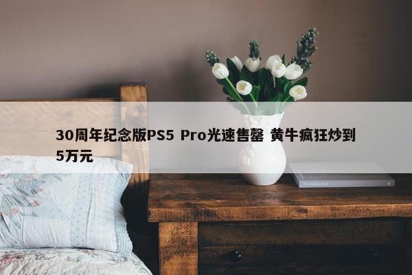 30周年纪念版PS5 Pro光速售罄 黄牛疯狂炒到5万元