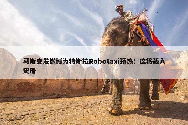 马斯克发微博为特斯拉Robotaxi预热：这将载入史册