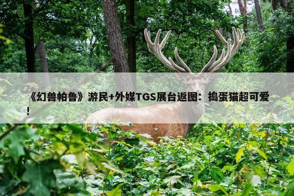 《幻兽帕鲁》游民+外媒TGS展台返图：捣蛋猫超可爱!